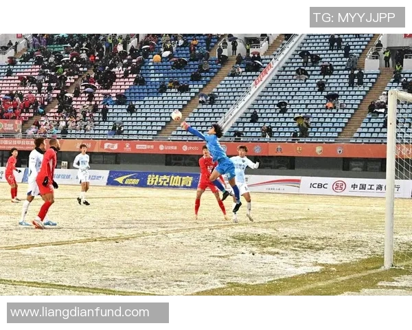 足球的魅力与激情尽在每一幅精彩图片中展现无遗